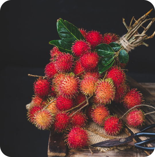 Rambutan